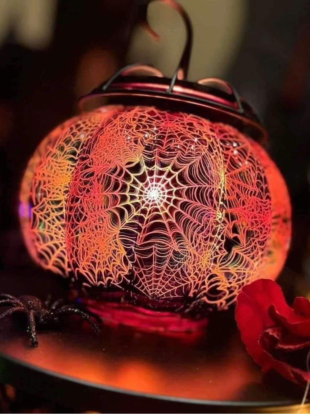 NIB Tangled Web Warmer